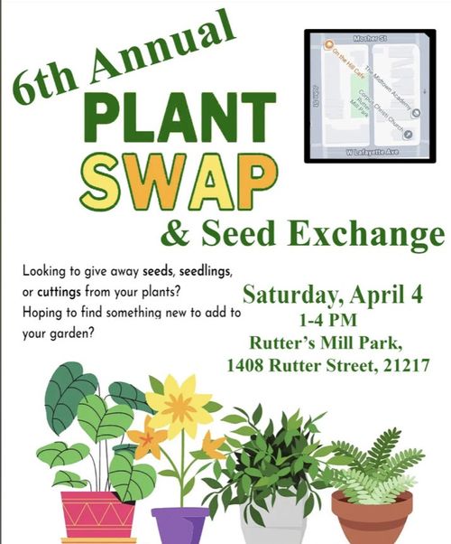 6th Annual Plant Swap & Seed Exchange

Looking to give away seeds, seedlings, or cuttings from your plants? Hoping to find something new to add to your garden?

Saturday, April 4
1-4 PM
Rutter's Mill Park,
1408 Rutter Street, 21217